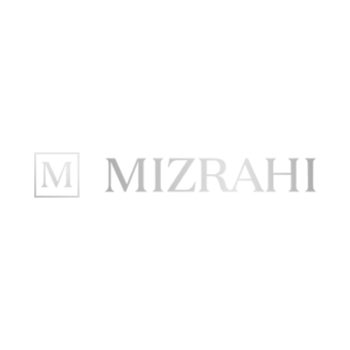 Mizrahi Developments Logo