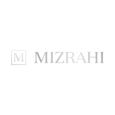 Mizrahi Developments Logo